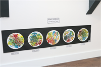 Açılış Sergimiz 2018